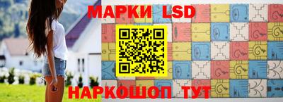 индика Ярославль