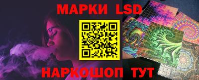 индика Ярославль