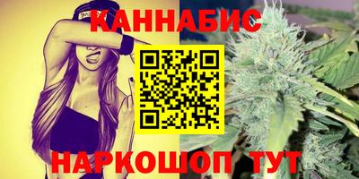 индика Ярославль