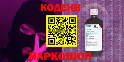 индика Ярославль