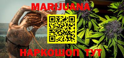 индика Ярославль