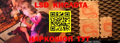 индика Ярославль